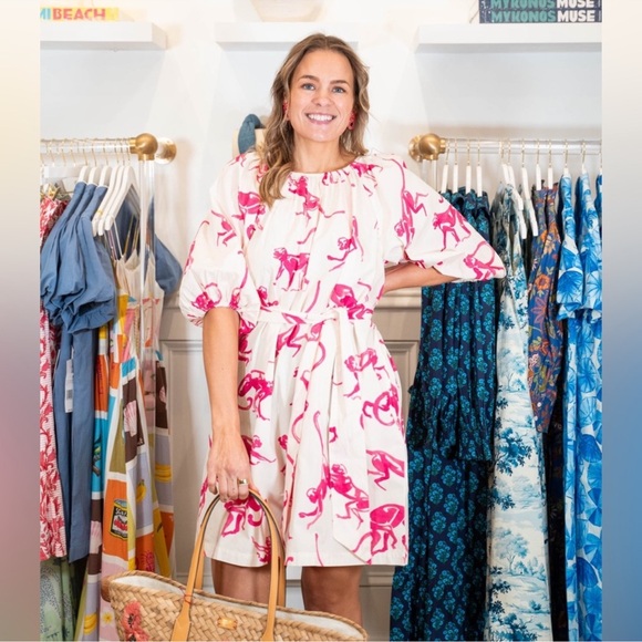 NWT FRANCES VALENTINE BLISS MINI DRESS - PINK MONKEY Sz L - Picture 6 of 10